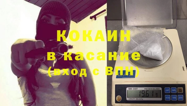 ГАЛЛЮЦИНОГЕННЫЕ ГРИБЫ Гусев