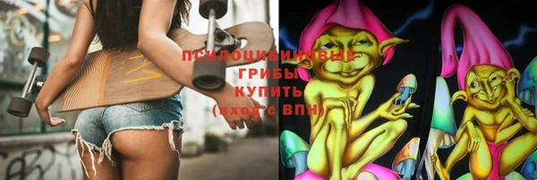 ГАЛЛЮЦИНОГЕННЫЕ ГРИБЫ Гусев