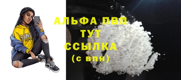 ГАЛЛЮЦИНОГЕННЫЕ ГРИБЫ Гусев