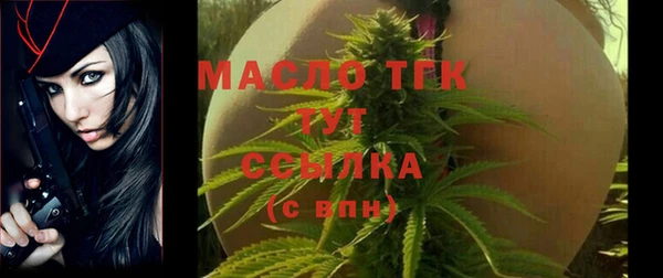 ГАЛЛЮЦИНОГЕННЫЕ ГРИБЫ Гусев