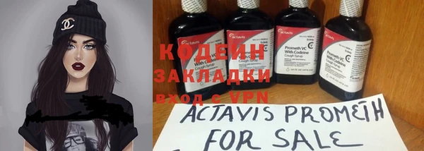 ГАЛЛЮЦИНОГЕННЫЕ ГРИБЫ Гусев