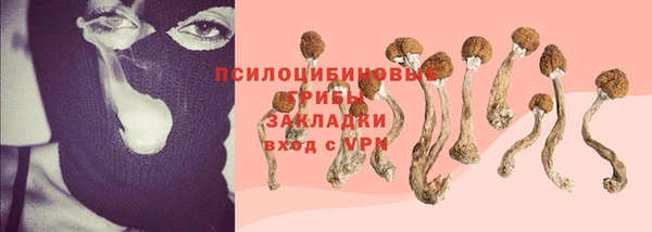 дживик Гусь-Хрустальный
