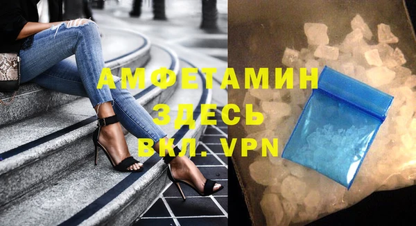 ГАЛЛЮЦИНОГЕННЫЕ ГРИБЫ Гусев