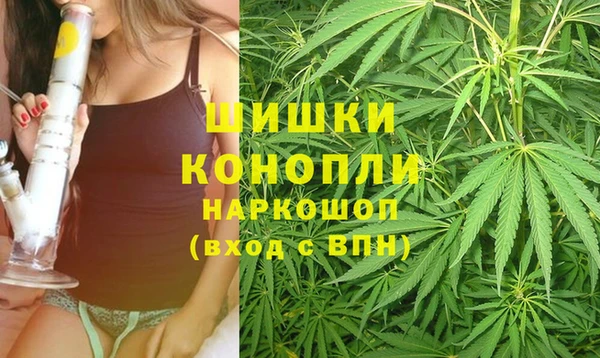 дживик Гусь-Хрустальный