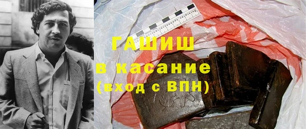 ГАЛЛЮЦИНОГЕННЫЕ ГРИБЫ Гусев