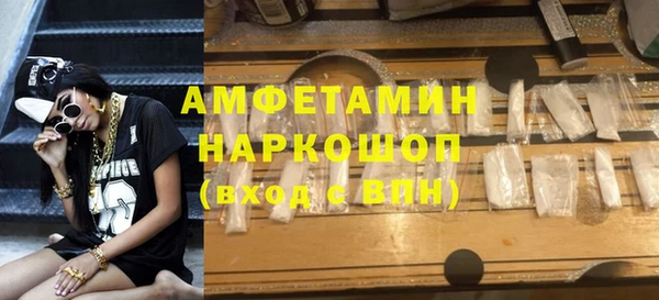 ГАЛЛЮЦИНОГЕННЫЕ ГРИБЫ Гусев