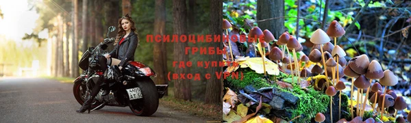 кокаин VHQ Гусиноозёрск