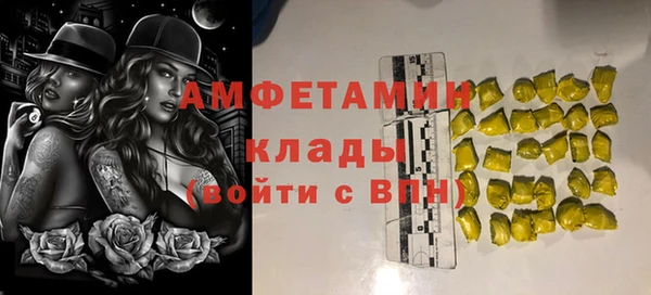 ГАЛЛЮЦИНОГЕННЫЕ ГРИБЫ Гусев