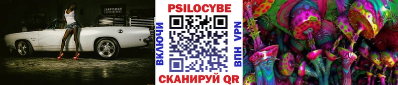 Псилоцибиновые грибы Psilocybe  Купить  Благовещенск 