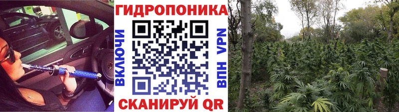Купить где  Благовещенск  Марихуана конопля 